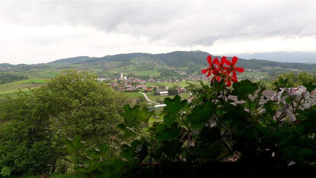 Ferienwohnung Tourist Farm Škrbina Otočec Exterior foto